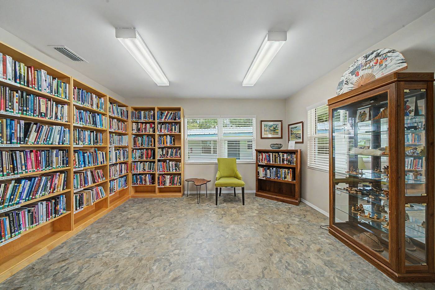 The library with full shelves and a reading chair