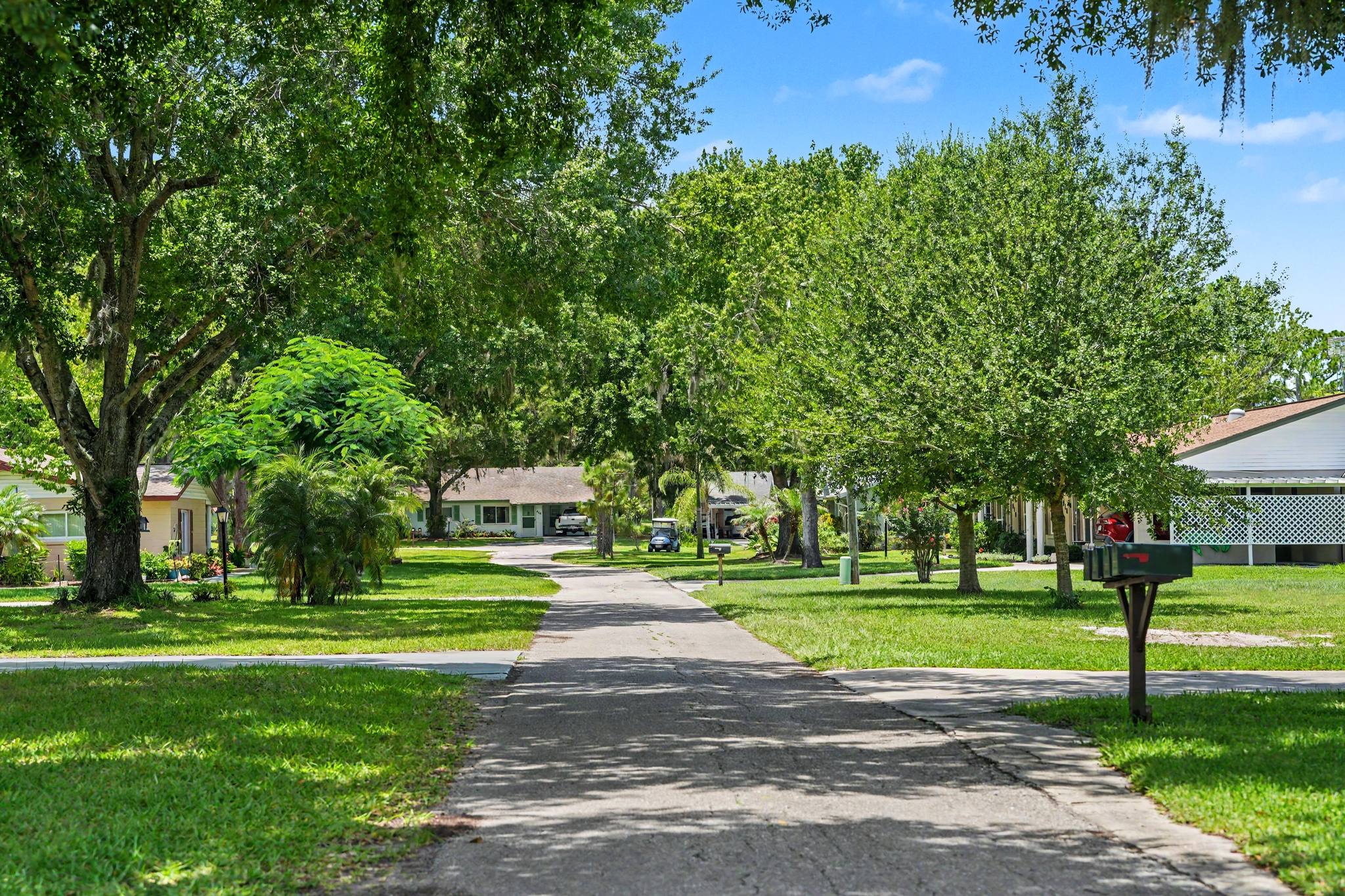 A quiet Village street under live oaks